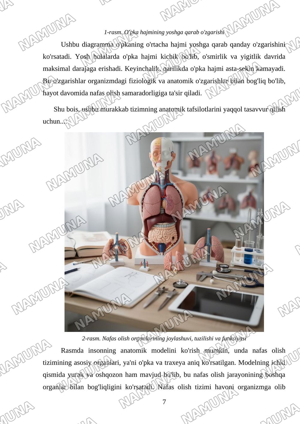 Nafas olish tizimi — mustaqil ish, 7-varaq