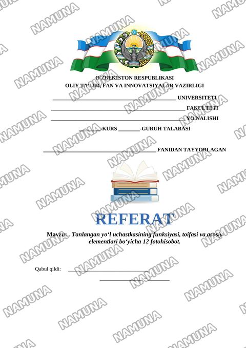 . Tanlangan yoʻl uchastkasining funksiyasi, toifasi va asosiy elementlari boʻyicha 12 fotohisobot. — referat