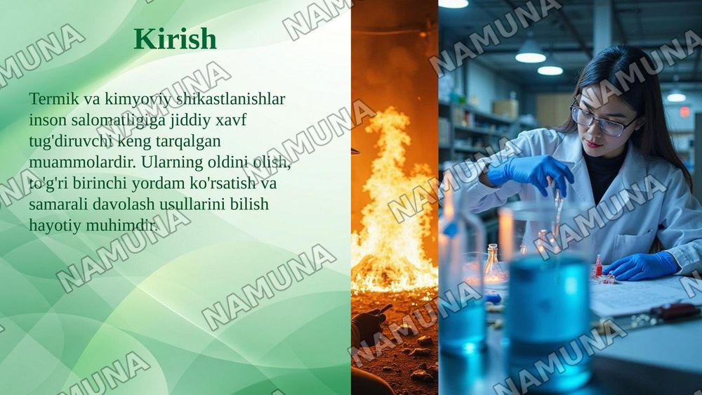 Termik va kimyoviy shikastlanishlar — taqdimot, 3-slayd