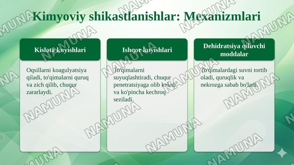 Termik va kimyoviy shikastlanishlar — taqdimot, 5-slayd