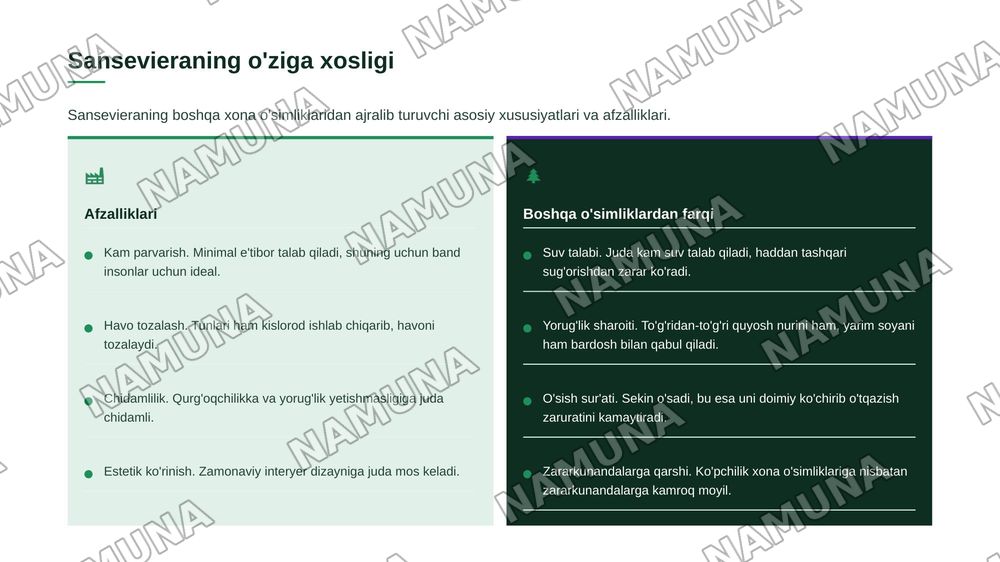 Interyer uchun Orxideyadoshlar oilasi vakillarini oʻrganish. Sanseviera oʻsimligining bioekologiyasi va koʻpaytirish texnologiyasi. — zamonaviy taqdimot, 5-slayd