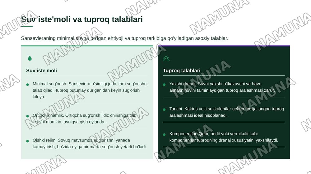 Interyer uchun Orxideyadoshlar oilasi vakillarini oʻrganish. Sanseviera oʻsimligining bioekologiyasi va koʻpaytirish texnologiyasi. — zamonaviy taqdimot, 8-slayd