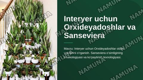 Interyer uchun Orxideyadoshlar oilasi vakillarini oʻrganish. Sanseviera oʻsimligining bioekologiyasi va koʻpaytirish texnologiyasi. — zamonaviy taqdimot