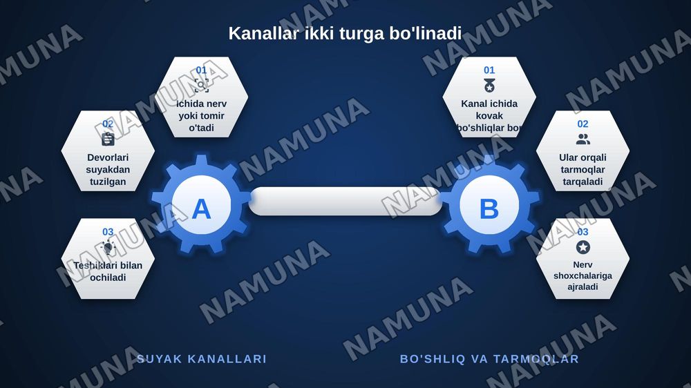 Chakkasuyaklarining kannalari — zamonaviy taqdimot, 5-slayd