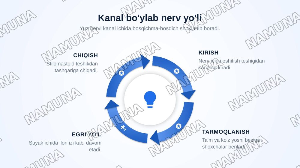 Chakkasuyaklarining kannalari — zamonaviy taqdimot, 8-slayd