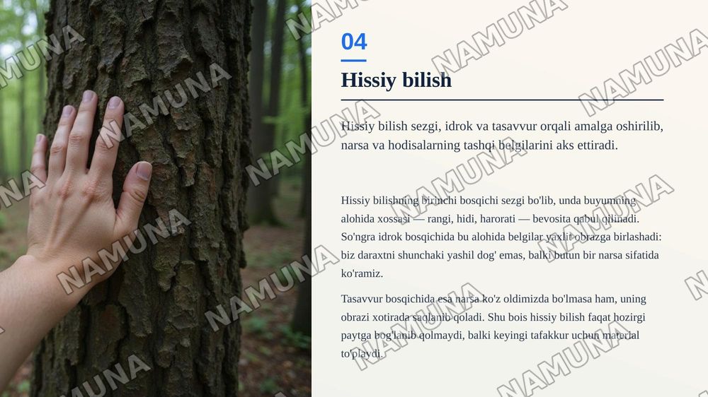 Hissiy, empirik, nazariy, matiqiy, intuitiv bilish darajalarining o'zaro aloqasi va farqi — zamonaviy taqdimot, 5-slayd
