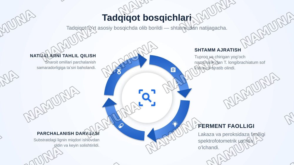 Trichoderma longibrachiatum zamburugʻining lignin parchalash xususiyatini tadqiq etish — zamonaviy taqdimot, 7-slayd