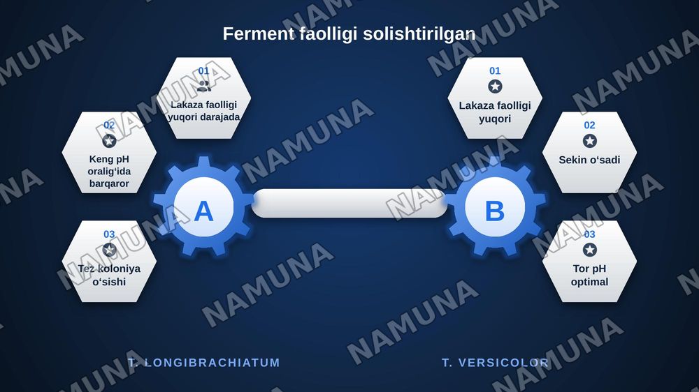 Trichoderma longibrachiatum zamburugʻining lignin parchalash xususiyatini tadqiq etish — zamonaviy taqdimot, 8-slayd