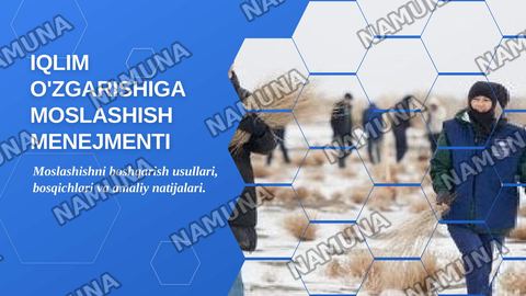 5. Iqlim o'zgarishiga moslashish sohasidagi zamonaviy menejment yondashuvlari — zamonaviy taqdimot