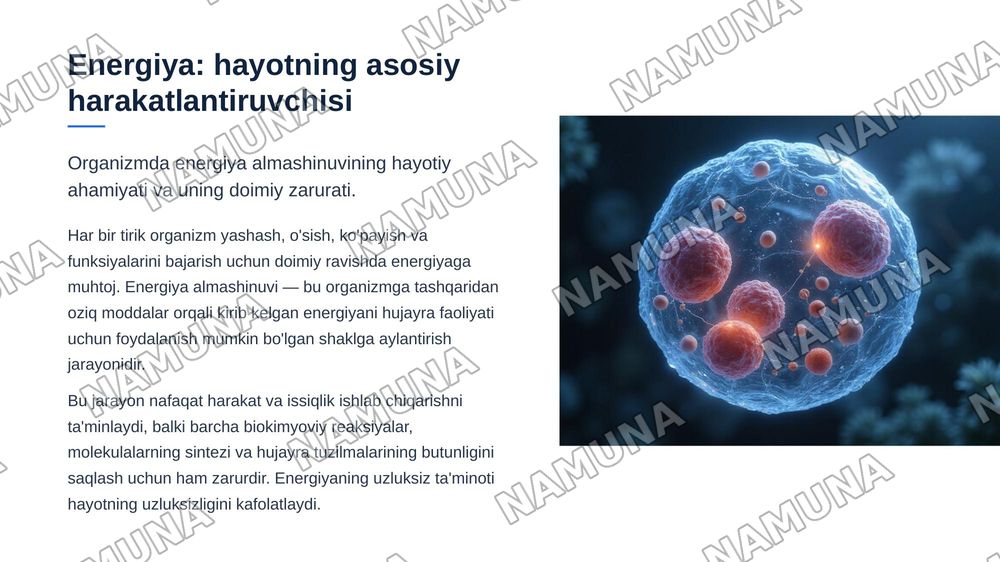 Organizmda asosiy energiya almashinuv tenglamasi va uni
tashkil etuvchilari — zamonaviy taqdimot, 3-slayd