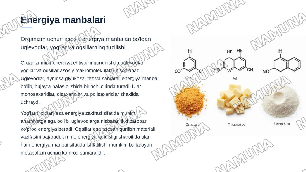 Organizmda asosiy energiya almashinuv tenglamasi va uni
tashkil etuvchilari — zamonaviy taqdimot, 5-slayd