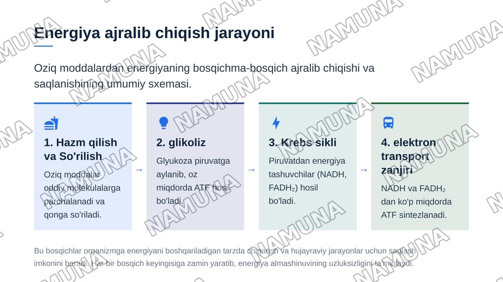 Organizmda asosiy energiya almashinuv tenglamasi va uni
tashkil etuvchilari — zamonaviy taqdimot, 6-slayd