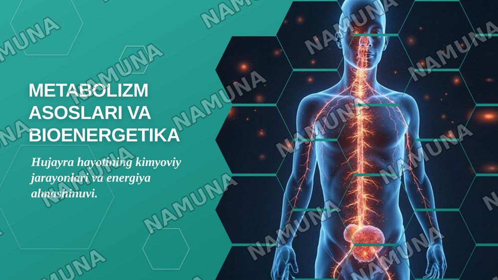 Metabolizm asoslari va bioenergetika. Katabolizm va anabolizm. ATF ning energetik almashinuvidagi roʻli. Oksidlanish- qaytarilish reaksiyalari. — zamonaviy taqdimot, 1-slayd