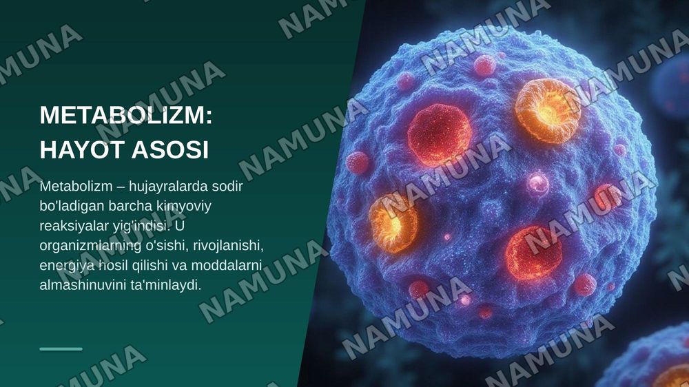 Metabolizm asoslari va bioenergetika. Katabolizm va anabolizm. ATF ning energetik almashinuvidagi roʻli. Oksidlanish- qaytarilish reaksiyalari. — zamonaviy taqdimot, 3-slayd