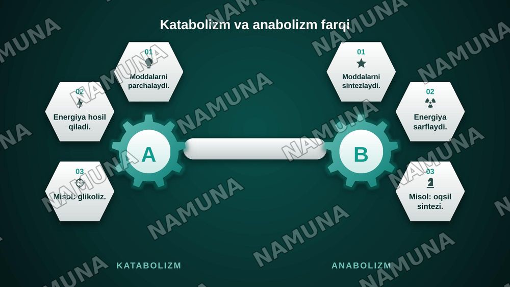 Metabolizm asoslari va bioenergetika. Katabolizm va anabolizm. ATF ning energetik almashinuvidagi roʻli. Oksidlanish- qaytarilish reaksiyalari. — zamonaviy taqdimot, 4-slayd