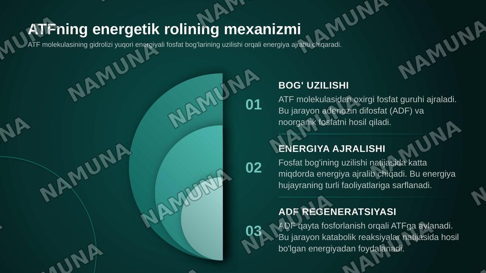 Metabolizm asoslari va bioenergetika. Katabolizm va anabolizm. ATF ning energetik almashinuvidagi roʻli. Oksidlanish- qaytarilish reaksiyalari. — zamonaviy taqdimot, 7-slayd