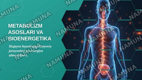 Metabolizm asoslari va bioenergetika. Katabolizm va anabolizm. ATF ning energetik almashinuvidagi roʻli. Oksidlanish- qaytarilish reaksiyalari. — zamonaviy taqdimot