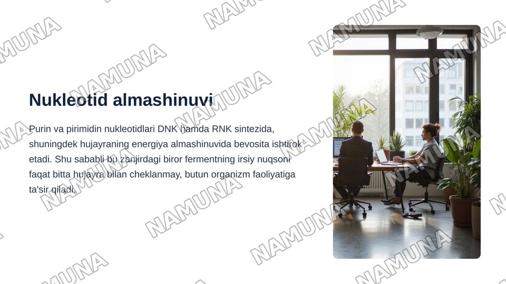 Purin va pirimidin almashinuvining buzilishi natijasida kelib chiqadigan gen kasalliklari. — zamonaviy taqdimot, 3-slayd