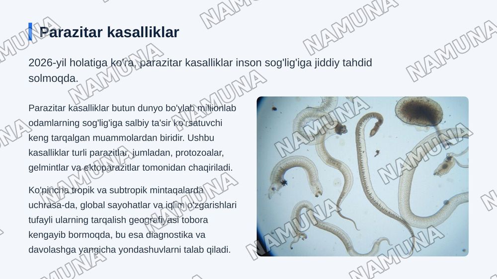 Parazitar kasalliklarning diagnostika usullari — zamonaviy taqdimot, 3-slayd