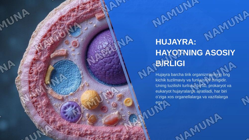 Bialogia — zamonaviy taqdimot, 6-slayd