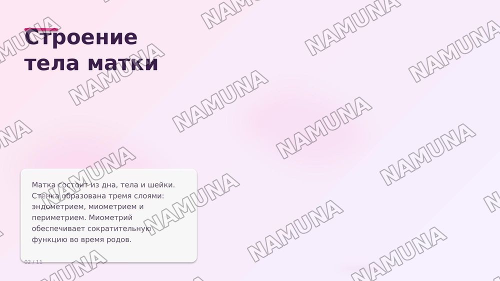Матка и его придатки
Сосуды и инервирующие его нервы — zamonaviy taqdimot, 2-slayd