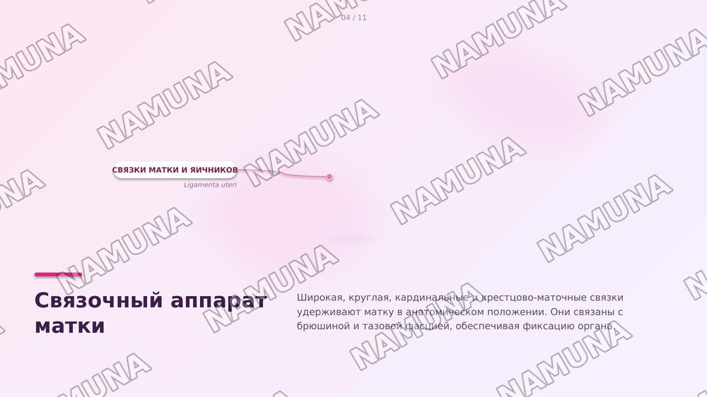 Матка и его придатки
Сосуды и инервирующие его нервы — zamonaviy taqdimot, 6-slayd
