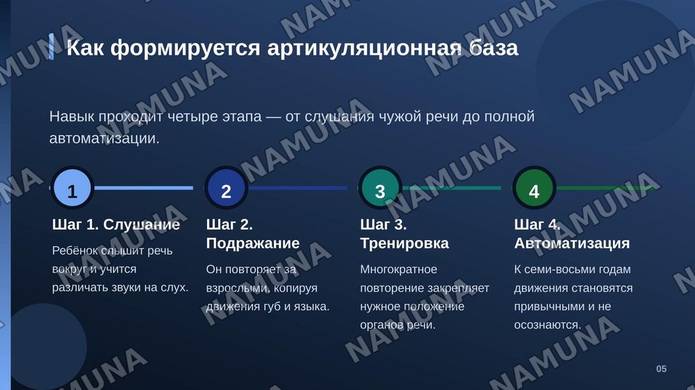 Артикуляционная база русского языка — zamonaviy taqdimot, 6-slayd