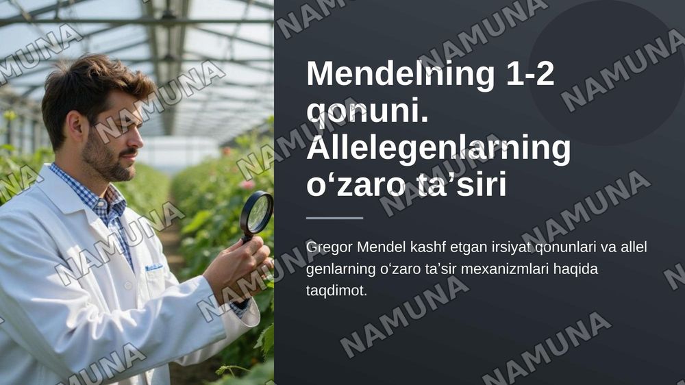 Mendelning 1-2 qonuni
Allelegenlarning oʻzaro ta’siri — zamonaviy taqdimot, 1-slayd