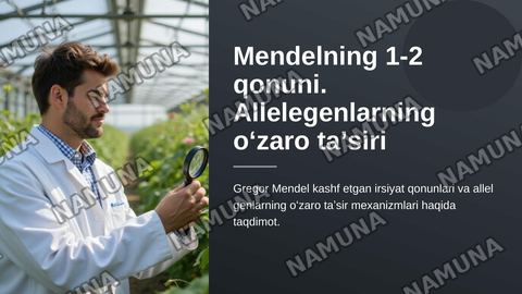 Mendelning 1-2 qonuni
Allelegenlarning oʻzaro ta’siri — zamonaviy taqdimot