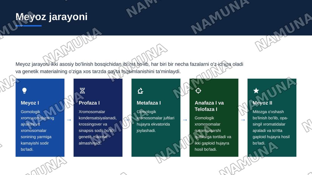 meyoz.uning biologik ahamiyati — zamonaviy taqdimot, 6-slayd
