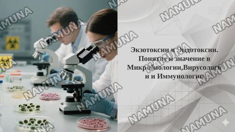 Экзотоксин и Эндотоксин. Понятие и значение в Микробиологии,Вирусологии и Иммунологии — taqdimot
