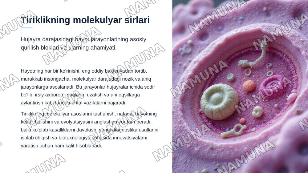 Tiriklikning molekulyar asoslari. Nuklein kislotalar va irsiy belgilarni nasldan-naslga o'tishdagi roli. DNK ning oqsil biosintezidagi roli. Genetik injeneriya.O'zgaruvchanlik va uning shakllari — zamonaviy taqdimot, 3-slayd