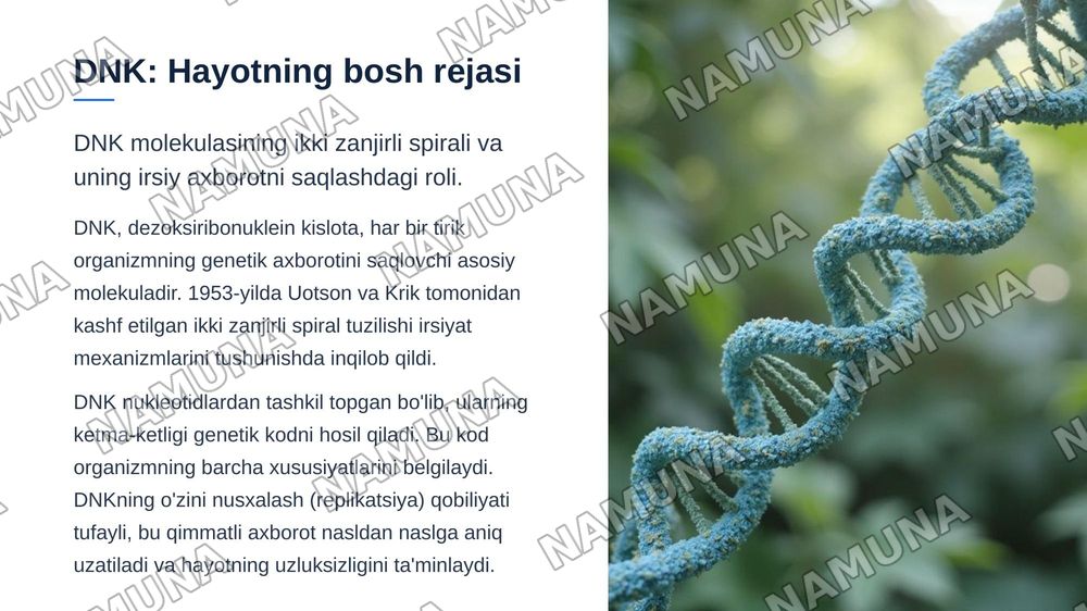 Tiriklikning molekulyar asoslari. Nuklein kislotalar va irsiy belgilarni nasldan-naslga o'tishdagi roli. DNK ning oqsil biosintezidagi roli. Genetik injeneriya.O'zgaruvchanlik va uning shakllari — zamonaviy taqdimot, 5-slayd