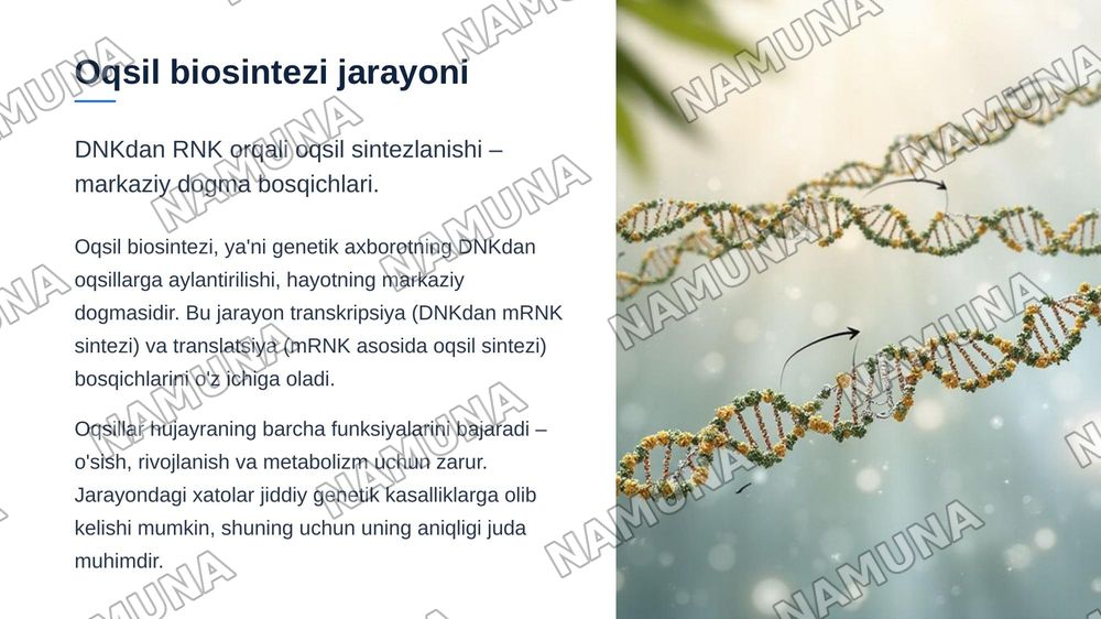 Tiriklikning molekulyar asoslari. Nuklein kislotalar va irsiy belgilarni nasldan-naslga o'tishdagi roli. DNK ning oqsil biosintezidagi roli. Genetik injeneriya.O'zgaruvchanlik va uning shakllari — zamonaviy taqdimot, 7-slayd