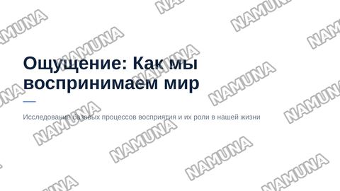 Ощущение — zamonaviy taqdimot