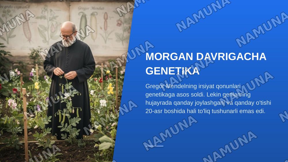T.G.MORGANNING IRSIYATNING XROMOSOMA NAZARIYASI. GENLARNING BIRIKISH HODISASI, KROSSINGOVER. BELGILARNING JINSGA BIRIKKAN HOLDA IRSIYLANISHI. — zamonaviy taqdimot, 3-slayd