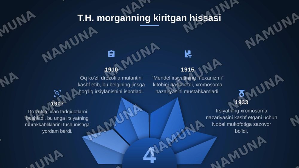 T.G.MORGANNING IRSIYATNING XROMOSOMA NAZARIYASI. GENLARNING BIRIKISH HODISASI, KROSSINGOVER. BELGILARNING JINSGA BIRIKKAN HOLDA IRSIYLANISHI. — zamonaviy taqdimot, 4-slayd