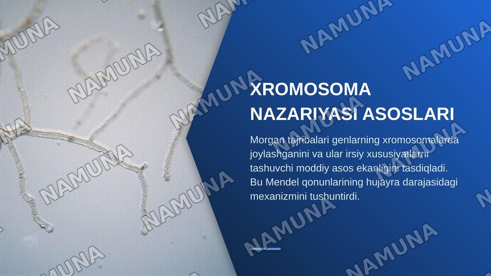 T.G.MORGANNING IRSIYATNING XROMOSOMA NAZARIYASI. GENLARNING BIRIKISH HODISASI, KROSSINGOVER. BELGILARNING JINSGA BIRIKKAN HOLDA IRSIYLANISHI. — zamonaviy taqdimot, 5-slayd
