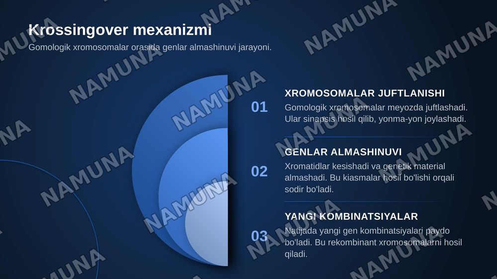 T.G.MORGANNING IRSIYATNING XROMOSOMA NAZARIYASI. GENLARNING BIRIKISH HODISASI, KROSSINGOVER. BELGILARNING JINSGA BIRIKKAN HOLDA IRSIYLANISHI. — zamonaviy taqdimot, 7-slayd