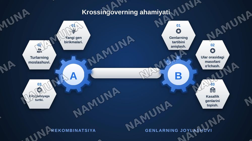 T.G.MORGANNING IRSIYATNING XROMOSOMA NAZARIYASI. GENLARNING BIRIKISH HODISASI, KROSSINGOVER. BELGILARNING JINSGA BIRIKKAN HOLDA IRSIYLANISHI. — zamonaviy taqdimot, 8-slayd