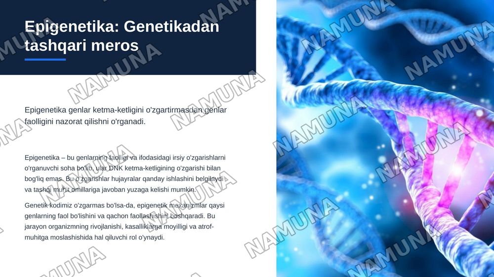 Epigenetik omillarning genlar faolligiga ta'siri — zamonaviy taqdimot, 3-slayd