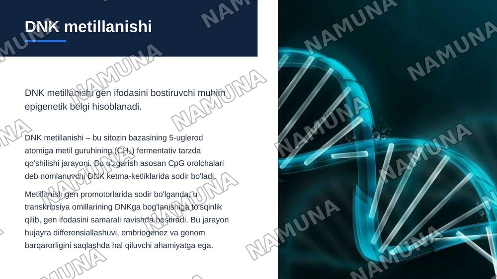 Epigenetik omillarning genlar faolligiga ta'siri — zamonaviy taqdimot, 6-slayd