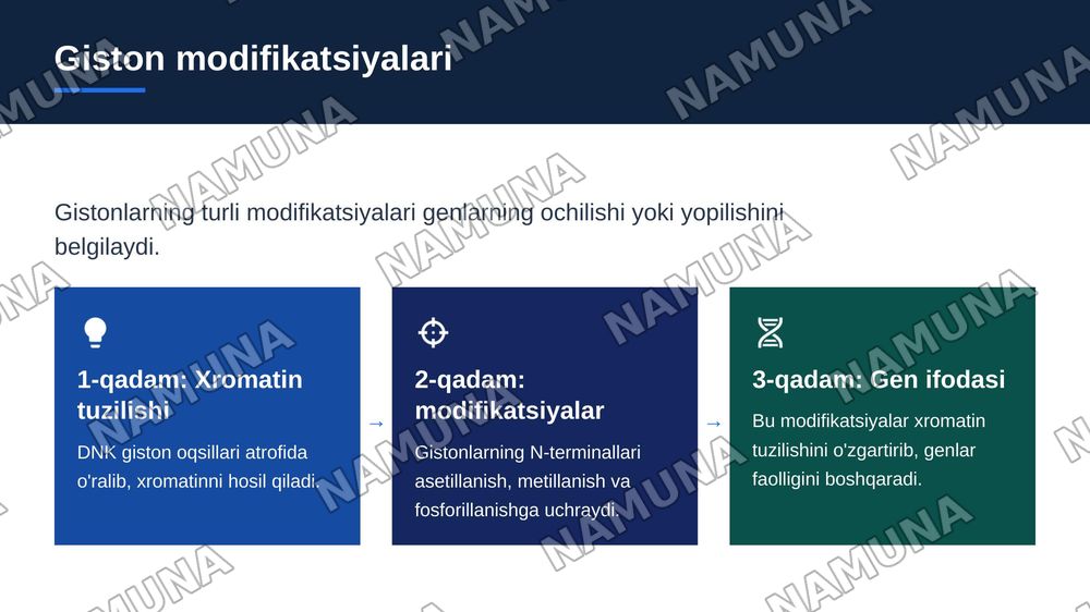 Epigenetik omillarning genlar faolligiga ta'siri — zamonaviy taqdimot, 7-slayd