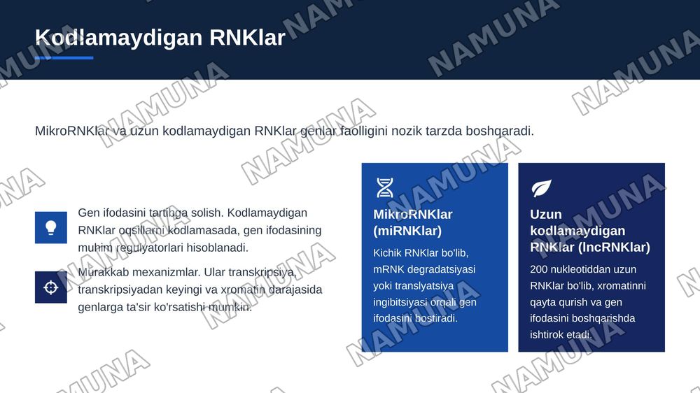 Epigenetik omillarning genlar faolligiga ta'siri — zamonaviy taqdimot, 8-slayd