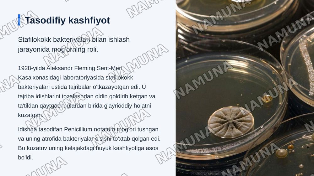 Aleksandr Fleming Alfred Nobel sohibi — zamonaviy taqdimot, 5-slayd