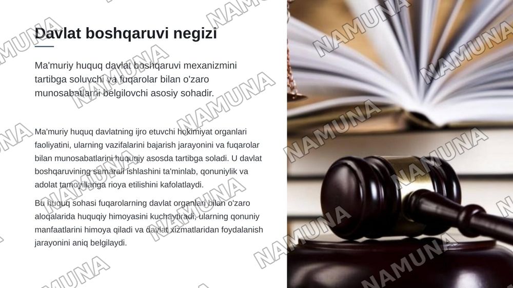 Umumiy ma'muriy huquqqa kirish — zamonaviy taqdimot, 3-slayd