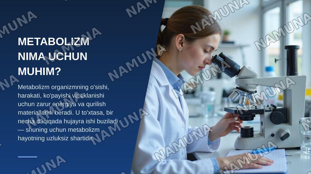 Metabalizm tushunchasi — zamonaviy taqdimot, 3-slayd