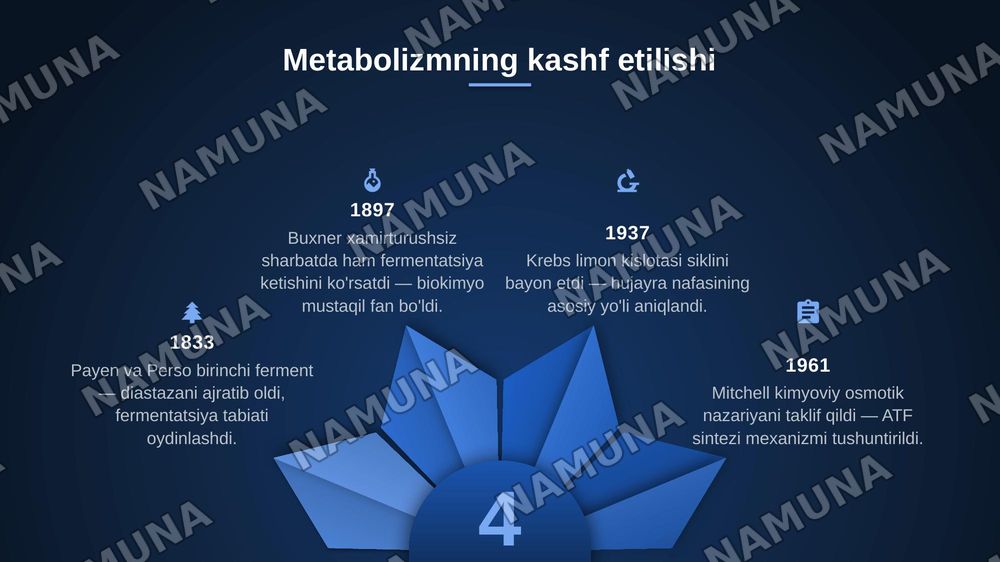 Metabalizm tushunchasi — zamonaviy taqdimot, 4-slayd