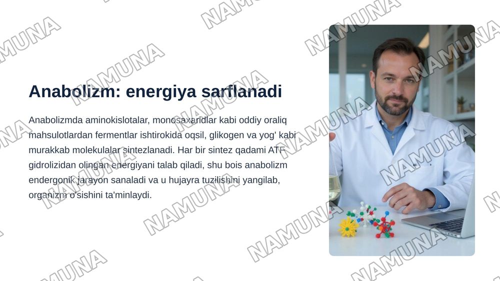 Metabalizm tushunchasi — zamonaviy taqdimot, 7-slayd