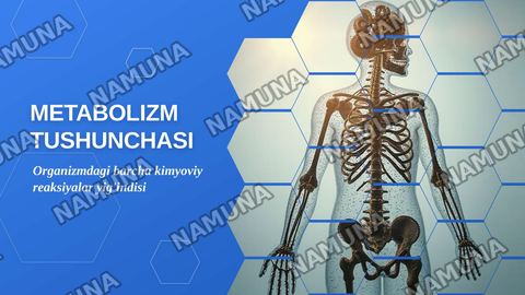 Metabalizm tushunchasi — zamonaviy taqdimot